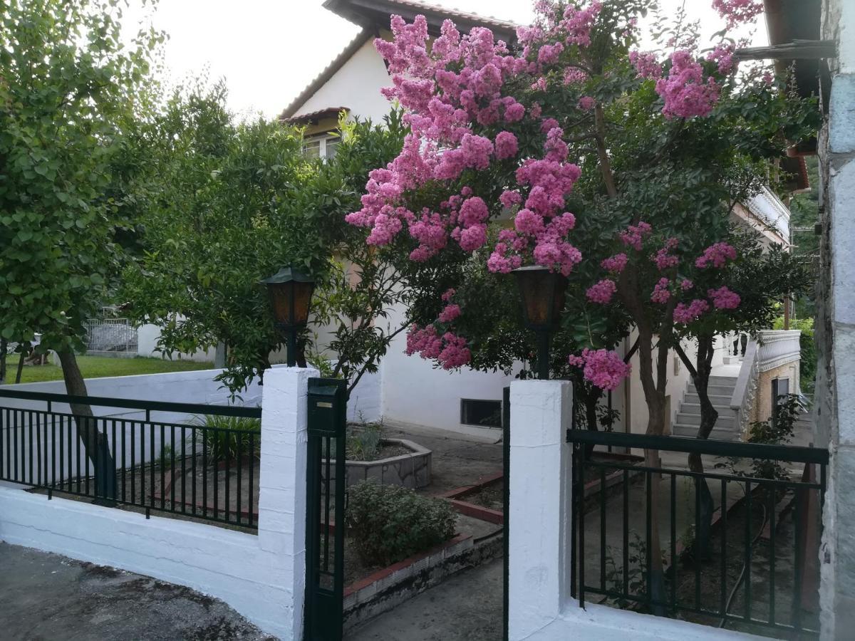 Verde Rete Apartments Ano Stavros Esterno foto